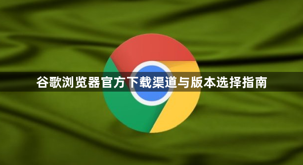 谷歌浏览器官方下载渠道与版本选择指南1