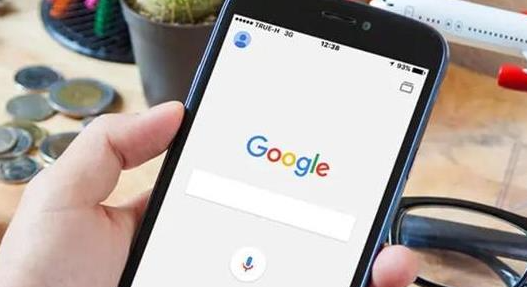 Google Chrome浏览器插件安装与安全检查全流程